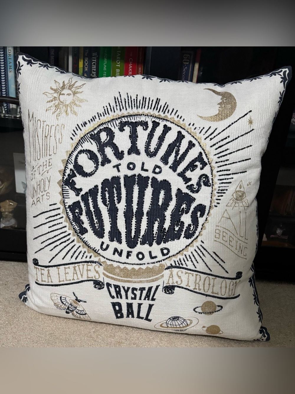 Apothecary Fortunes Teller beaded duck feather filled Decorative Pillow